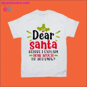 Beste kerstman, voordat ik het uitleg, hoeveel weet jij van T-shirts